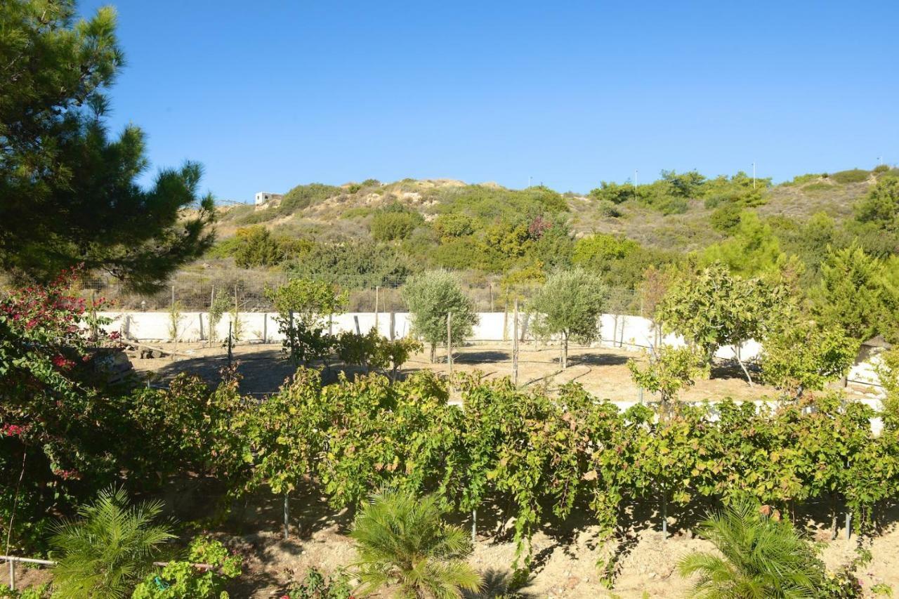Blue Harmony Villas Kiotari Exterior photo